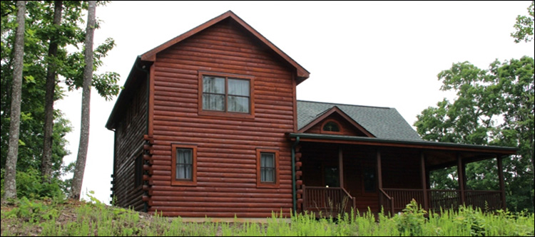 Professional Log Home Borate Application  Williams County, Ohio